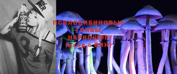 спайс Арсеньев