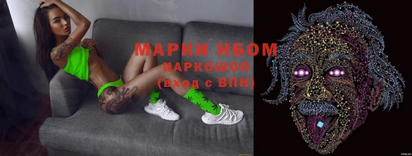 спайс Арсеньев