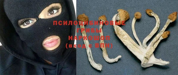 спайс Арсеньев
