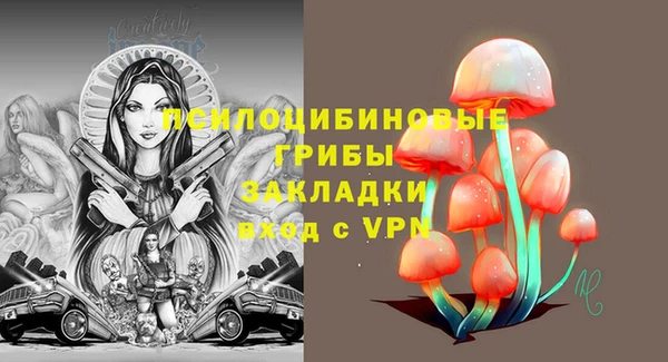 Альфа ПВП Армянск