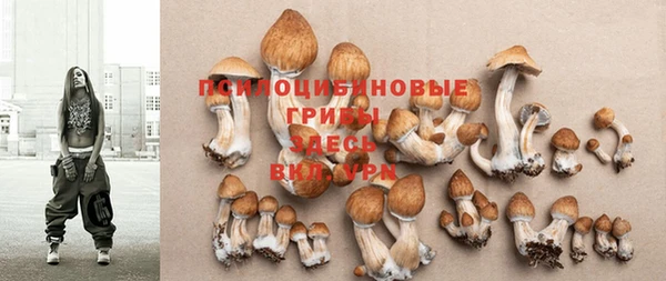 гашик Аркадак