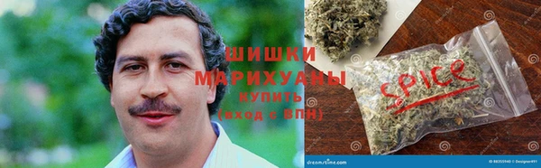 гашик Аркадак